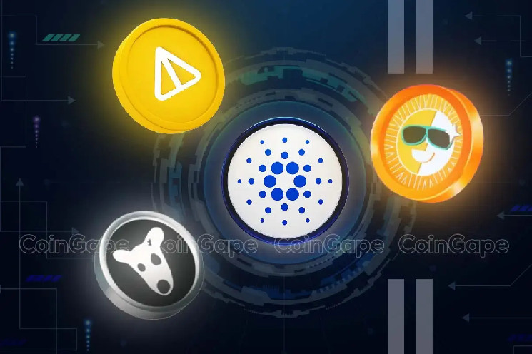 Телеграм-мем-коіни на Солані: СІН, СОБАКИ та НЕКОЇН