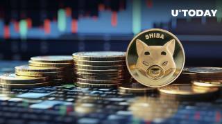 Зростання комісій на Shibarium: популярність та ризики