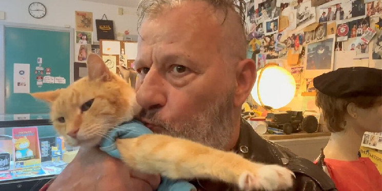 Нерозгонімне партнерство: Клавіатурний Кіт і мем-койни