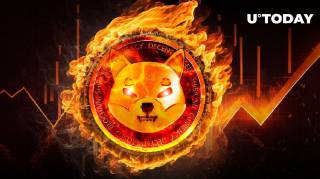 Shiba Inu (SHIB): всплеск сжигания токенов на 282%, но стоит ли радоваться?