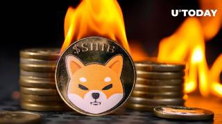 Швидкість знищення SHIB зросла на 28 145%