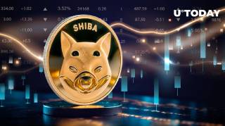 Зріст активності китів піднімає Shiba Inu (SHIB)ше вище?