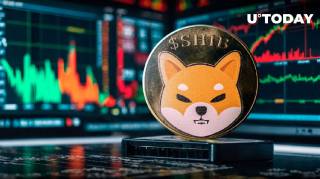 Высокий объем транзакций Shiba Inu: Что происходит?