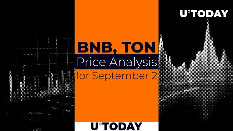 Прогноз курса BNB и TON на 2 сентября