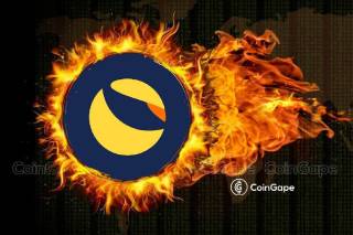 Чому не відбувся підйом ціни Terra Classic після спалення монет LUNC на Binance?