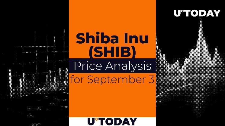 Прогноз курса SHIB на 3 сентября: коррекция или разворот?