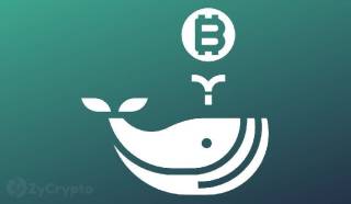 Кити накопичують понад 133 000 BTC: що очікувати від Bitcoin?