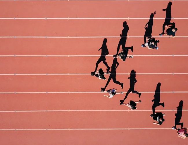 Лидерство Догвифхата на фоне восстановления: цель $2,2?