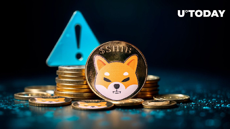 Критическое предупреждение о схеме Pump and Dump в сообществе Shiba Inu