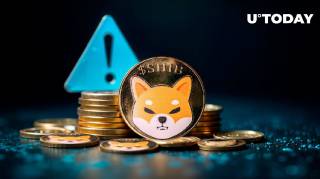 Pump and Dump: Важливе попередження від Shiba Inu