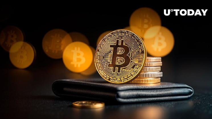 Кошелек из эры Сатоши с 500 772% прибыли