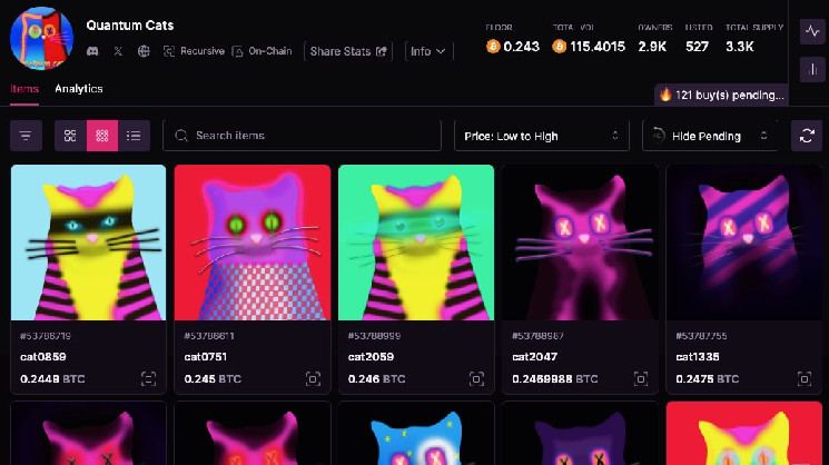 Статья: NFT Quantum Cats проекта Taproot Wizards удваивают свою цену на вторичном рынке