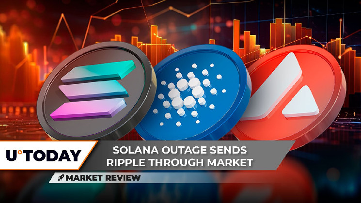 Solana (SOL) и Cardano (ADA) столкнулись с проблемами, в то время как Avalanche (AVAX) стремится к восстановлению