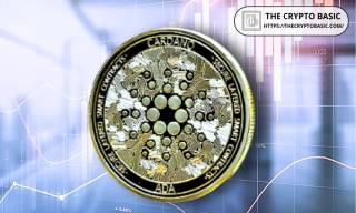 Надбання Cardano: Діаграма порівняння з топ-активами на ринку