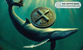 95,000,000 XRP переміщені на Binance: що відбувається з китами XRP?