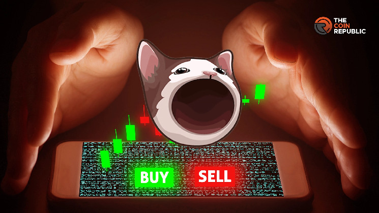 Прогноз ціни POPCAT: руйнування чи відскок?