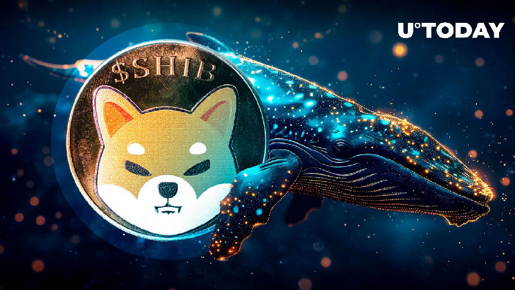 Возвращение китов SHIB: увеличение транзакций и возможное восстановление