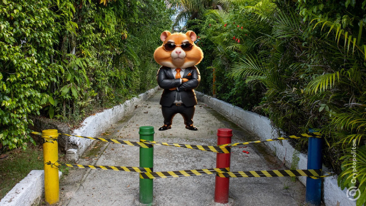 Hamster Kombat: нова система блокування гравців