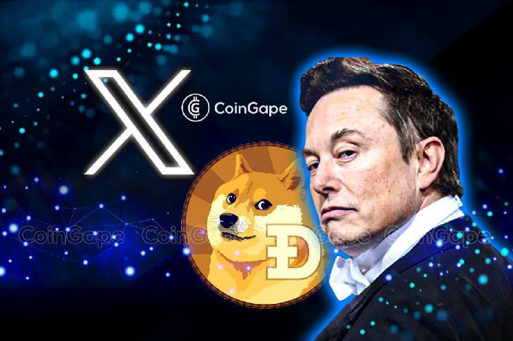 Судова справа з DOGE: Елон Маск підтримує криптовалюту