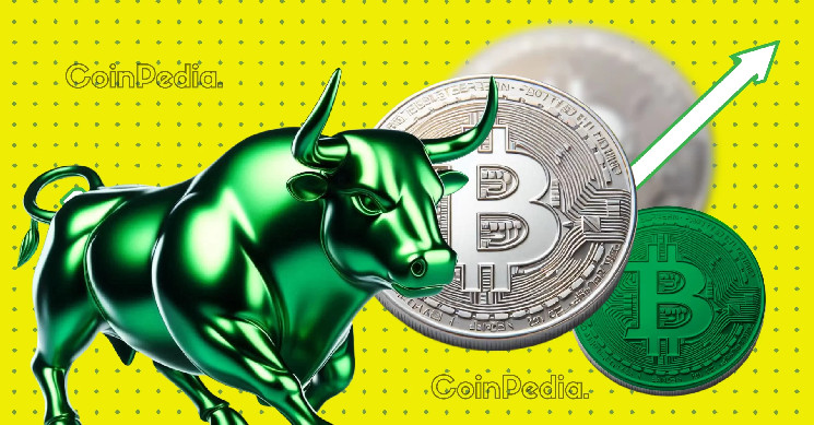 Цена биткоина: возвращение после падения?