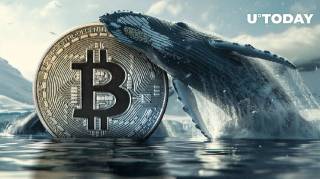 Кити збільшують участь у Bitcoin: $150 мільйонів в 7 днів