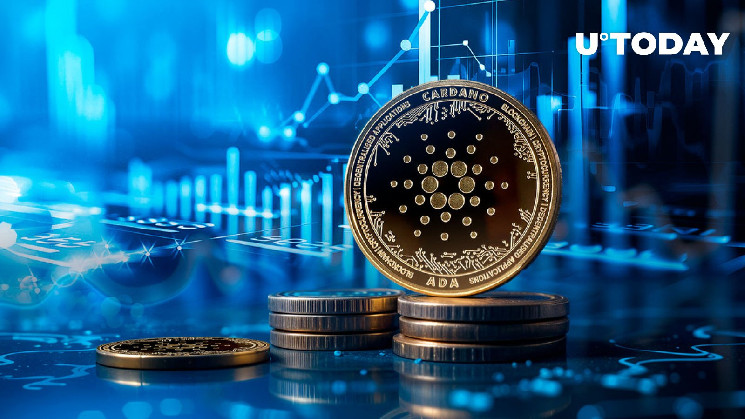 Ріст екосистеми Cardano у серпні 2024: Деталі