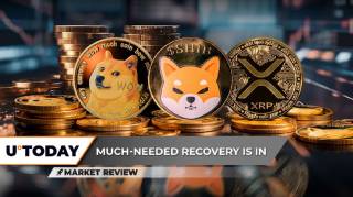 1) Відновлення Dogecoin, Слабкість Shiba Inu, Уникнення катастрофи XRP
2) DOGE готується до відновлення, SHIB виявляє слабкість, XRP уникає краху