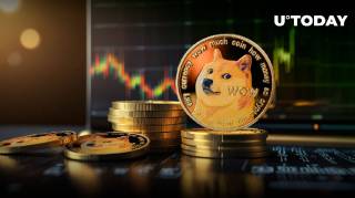Зоряний розвиток Dogecoin: бича активність китів та графічний паттерн