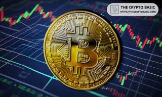 Зміни в розподілі гаманців Bitcoin: чи сприятимуть вони розвитку ціни?