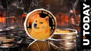 Аномалія на ланцюжку Dogecoin (DOGE): що відбувається?
