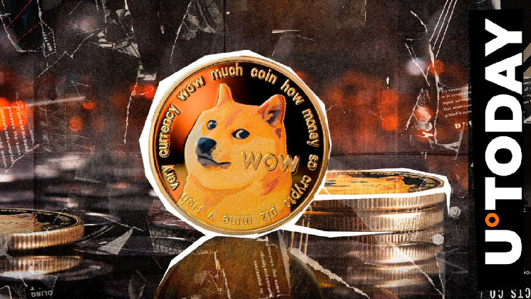 Аномалія на ланцюжку Dogecoin (DOGE): що відбувається?