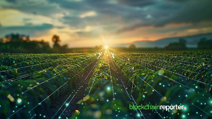 Інтеграція протоколу Давос в екосистему Core: стабільний дохід в DeFi