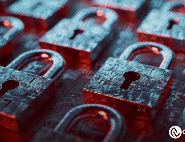 Найкращі жорсткі гаманці криптовалют 2024