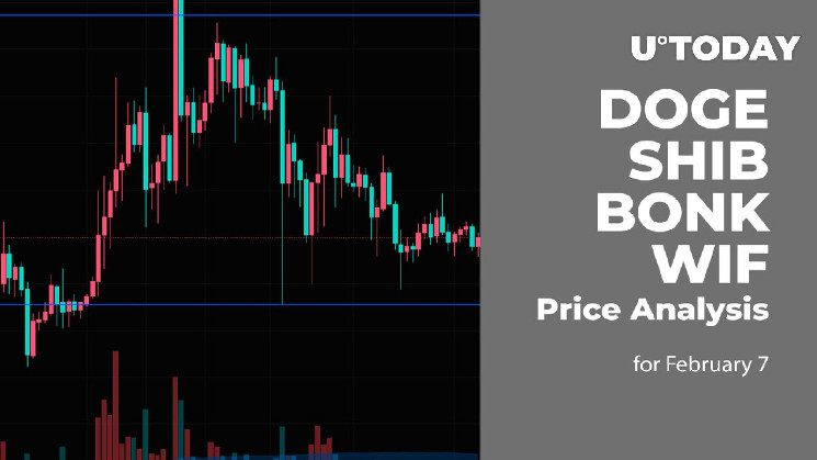 Анализ цен на DOGE, SHIB, BONK и WIF на 7 февраля