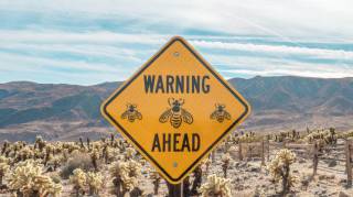 Криптоплатформа Bakkt предупреждает о возможном прекращении деятельности