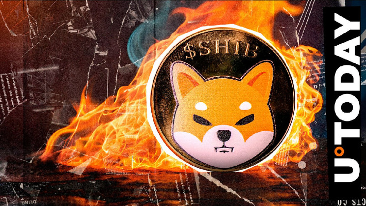 Зменшення постачання монет SHIB: ключові моменти