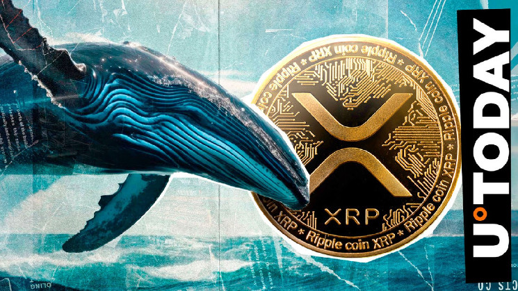 Крипто-кит придбав 20 мільйонів XRP: великий переказ з біржі