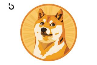 Історія та перспективи Dogecoin (DOGE) на 2024 рік