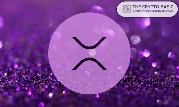 Потенциал XRP: краткий обзор исследования