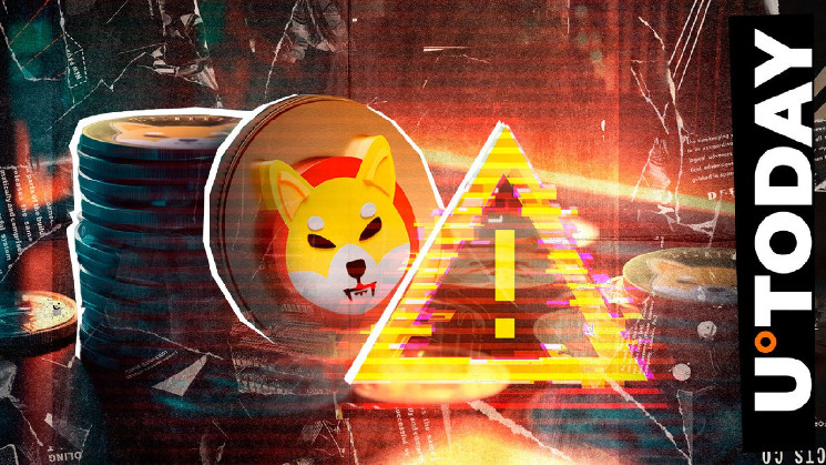 Мошенничество от Crucial Ryoshi: предупреждение от команды SHIB