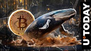 Раптовий повернення Bitcoin: від древнього до мільйонерів