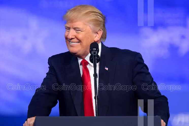 Наша стаття: XRP Healthcare віддає перевагу Трампу над співзасновником Ripple