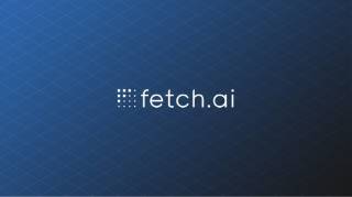 FET: зростання транзакцій і вплив великих володарів гаманців на ціну