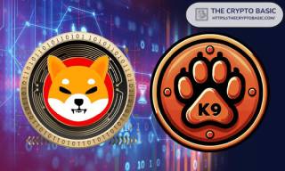 Новости о достижениях K9 Финанс на Шиба Ину