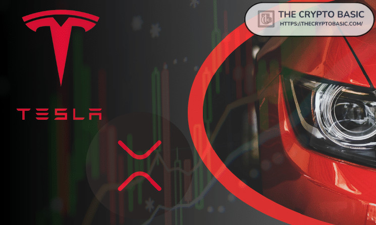 XRP: потенциал эквивалента акций Tesla?