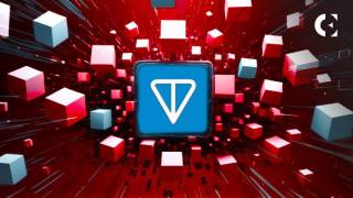 DOGS Token и другие токены Telegram внизу