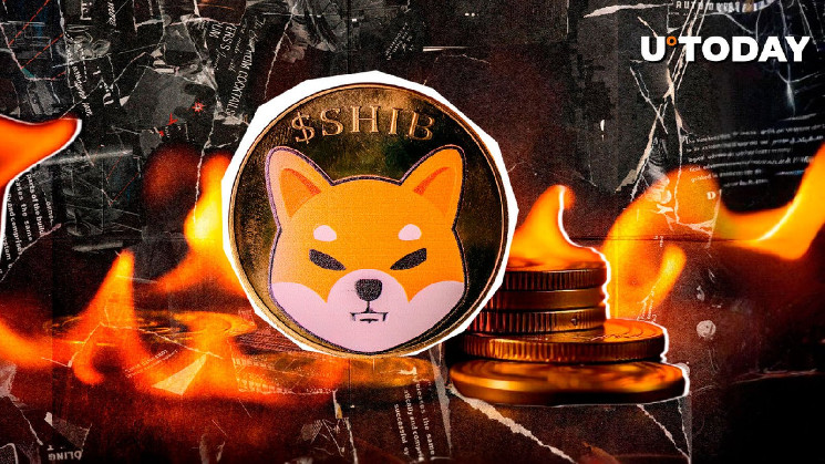 SHIB Burns увеличился на 772%