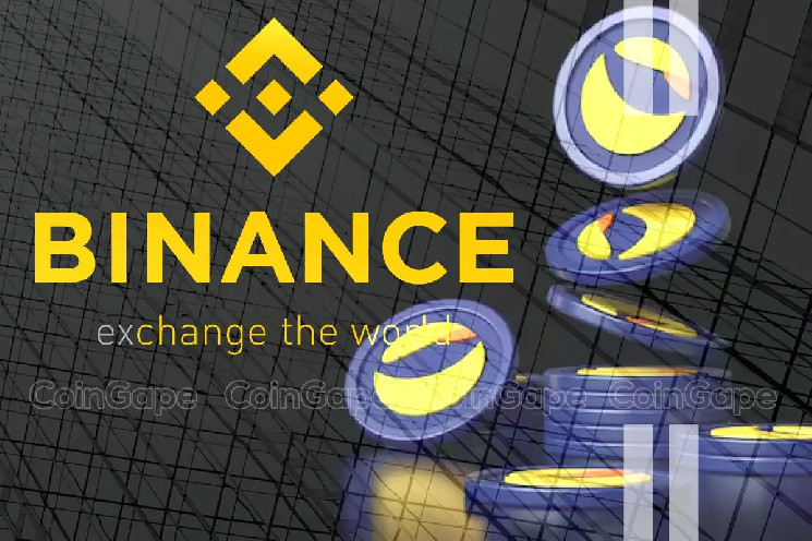 Механизм сжигания LUNC: обзор действий Binance