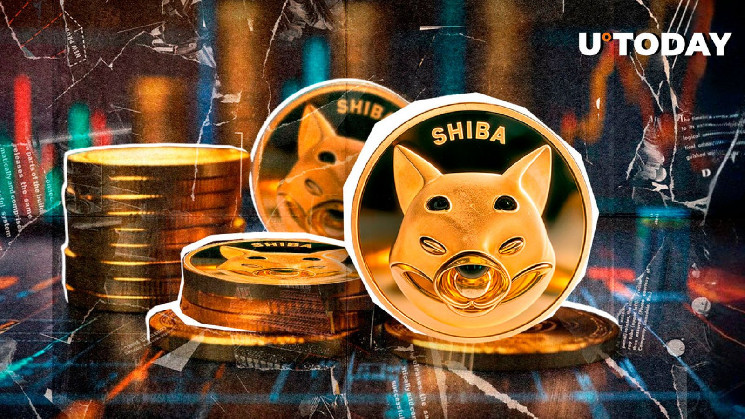 Шибизены: Что-то большое приближается!