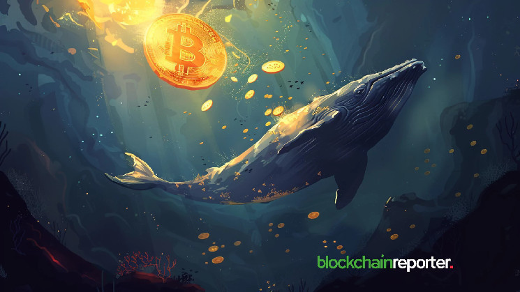Криптовалютний кит здепонував $47,9 млн у Bitcoin на Binance